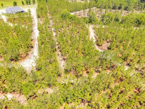 1549 Lawhorn Road Cassatt SC 29032
