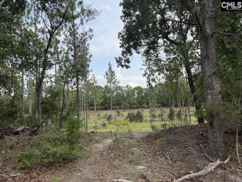 1549 Lawhorn Road Cassatt SC 29032