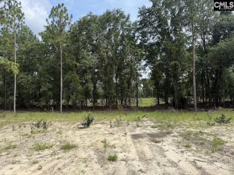 1549 Lawhorn Road Cassatt SC 29032