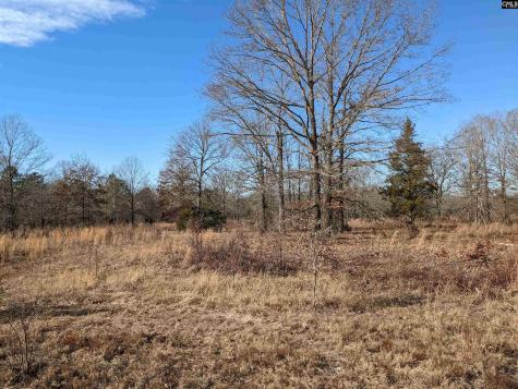 378 Hound Hollow Road Camden SC 29020