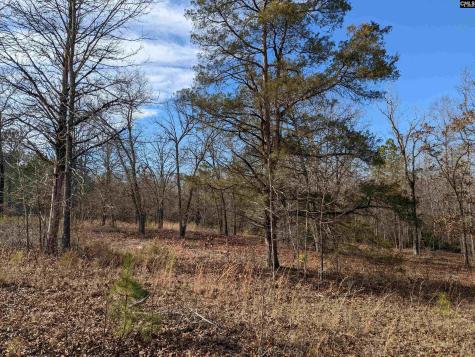 378 Hound Hollow Road Camden SC 29020