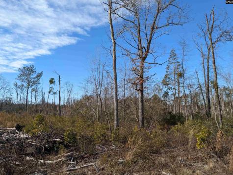 378 Hound Hollow Road Camden SC 29020