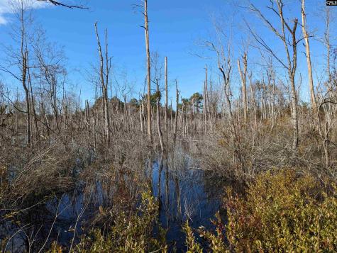 378 Hound Hollow Road Camden SC 29020