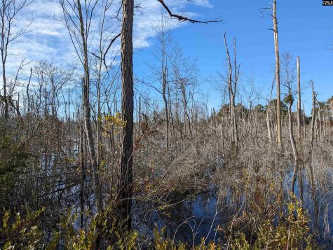 378 Hound Hollow Road Camden SC 29020