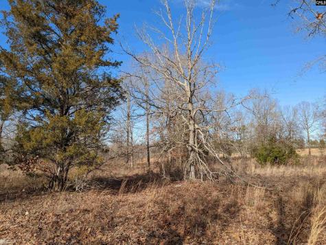 378 Hound Hollow Road Camden SC 29020