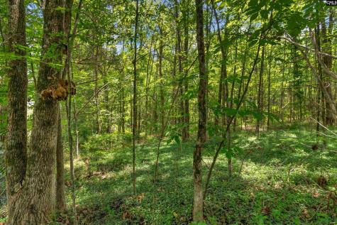 0000 Highway 215 5 Jenkinsville SC 29065