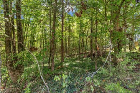 0000 Highway 215 5 Jenkinsville SC 29065