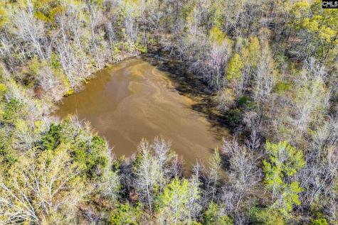 3941 Holley Ferry Road Leesville SC 29070