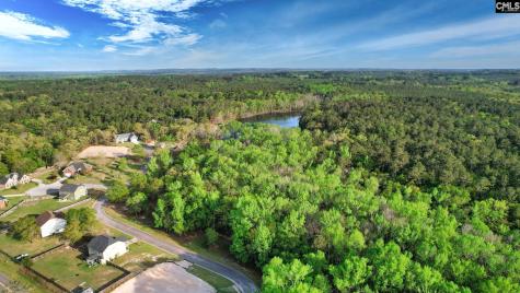 015 River Mill Way Gaston SC 29053