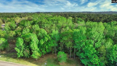 015 River Mill Way Gaston SC 29053