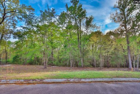 015 River Mill Way Gaston SC 29053