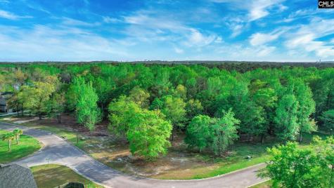 015 River Mill Way Gaston SC 29053