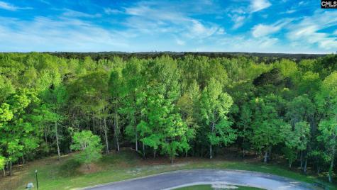 015 River Mill Way Gaston SC 29053