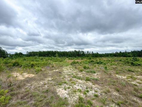 0 Neely Wingard Road Lot 1 Gilbert SC 29054