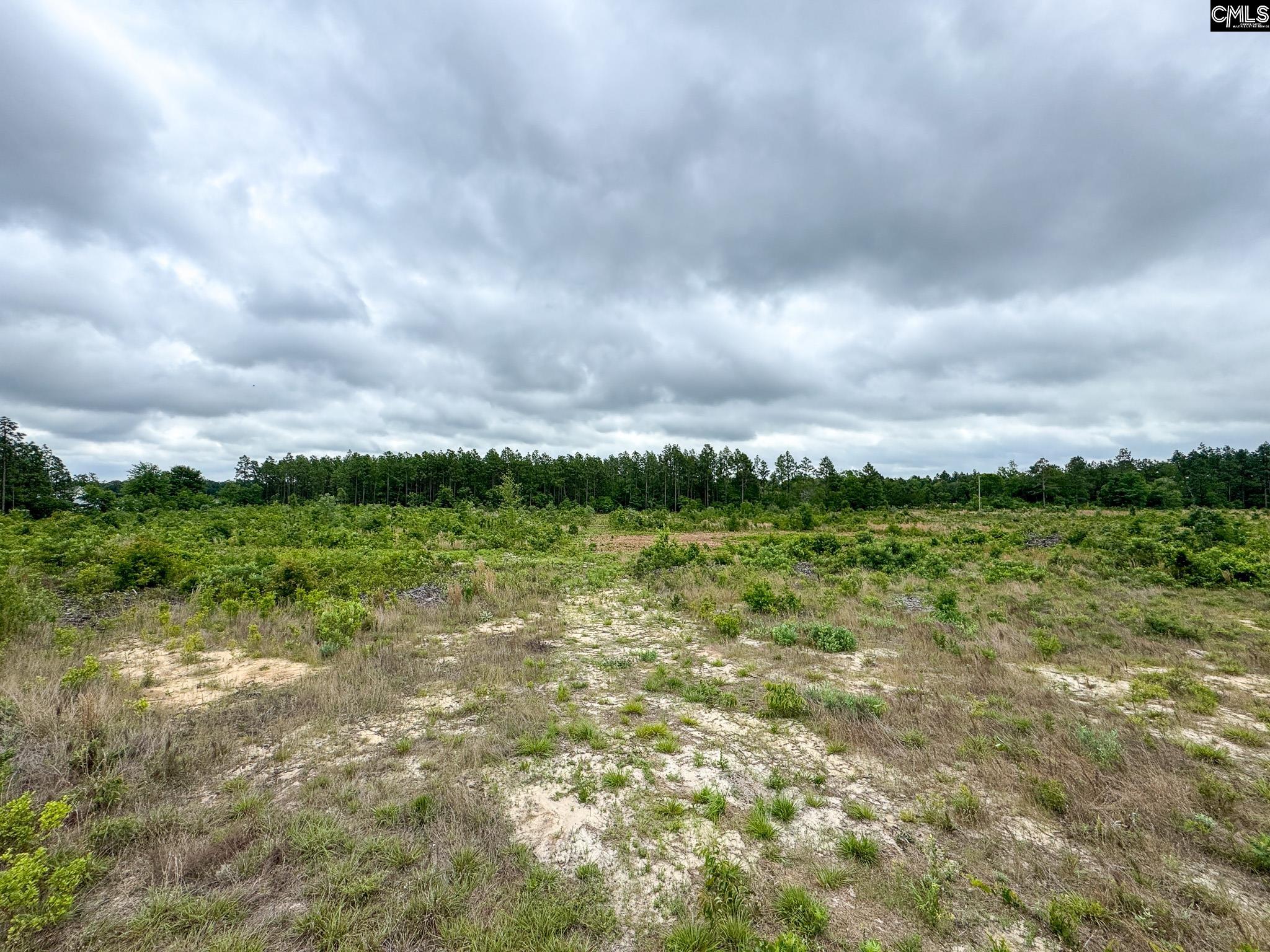 0 Neely Wingard Road Lot 1 Gilbert SC 29054