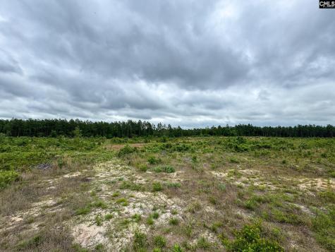 0 Neely Wingard Road Lot 1 Gilbert SC 29054