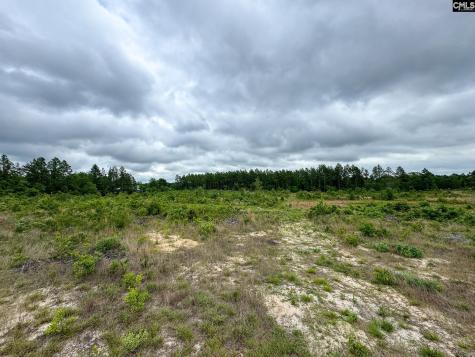 0 Neely Wingard Road Lot 1 Gilbert SC 29054