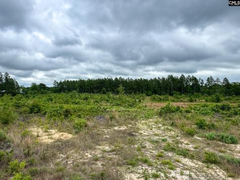 0 Neely Wingard Road Lot 1 Gilbert SC 29054