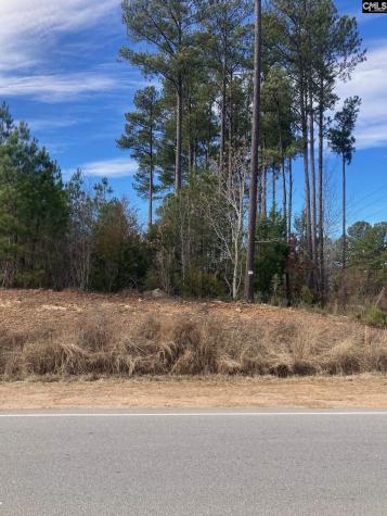 Johnson Marina Road Chapin SC 29036