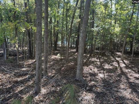 000 Circle H. Wood Road Prosperity SC 29127