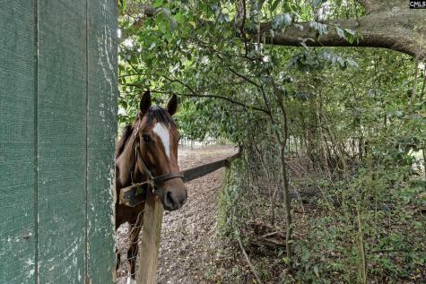 2224 Carter Street Tract C Camden SC 29020