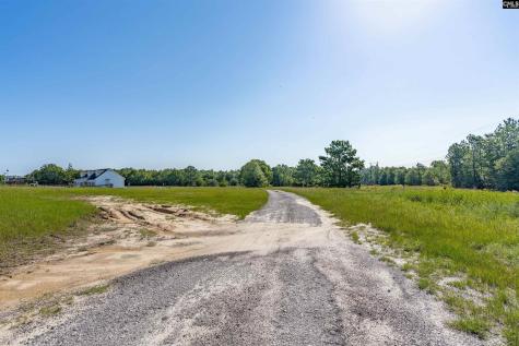 1131 S Lake Drive Lexington SC 29073