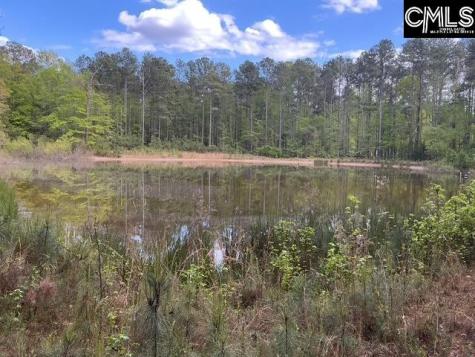 360 Rollingwood Drive Lexington SC 29072-0000
