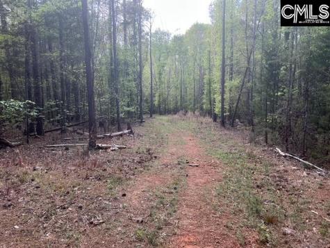 360 Rollingwood Drive Lexington SC 29072-0000