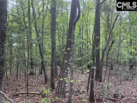 360 Rollingwood Drive Lexington SC 29072-0000