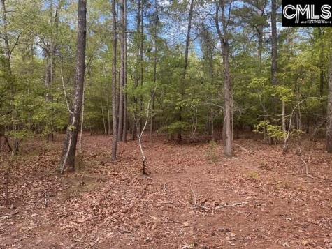 360 Rollingwood Drive Lexington SC 29072-0000
