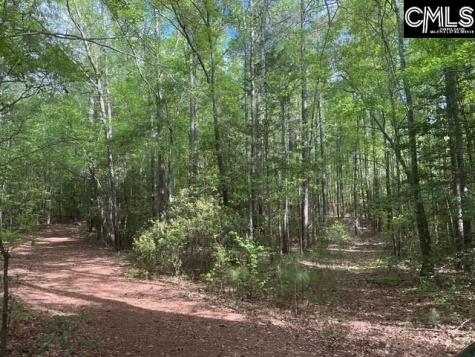 360 Rollingwood Drive Lexington SC 29072-0000