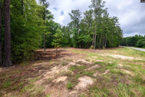 227 Maxie Road Lot 1 Lexington SC 29072
