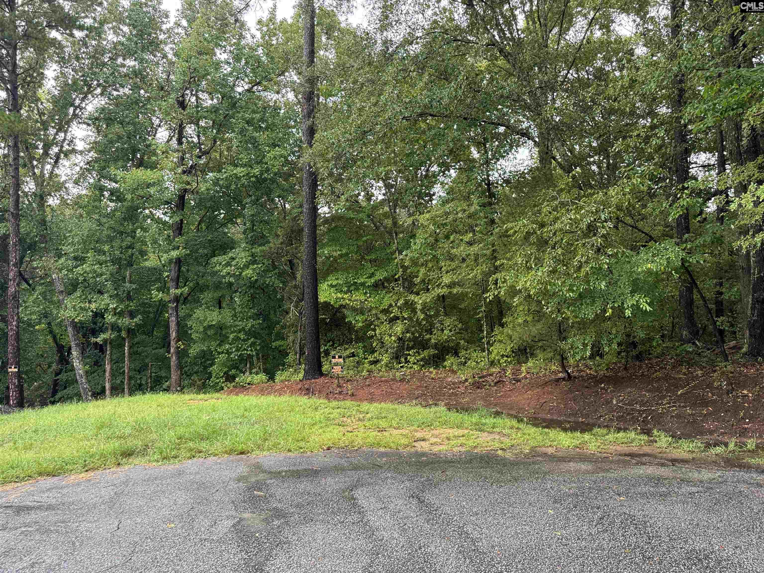 Tbd N Wysteria Lane Winnsboro SC 29180