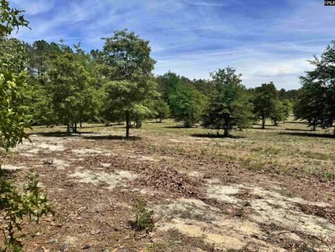 1345 Cheraw Road Cassatt SC 29032