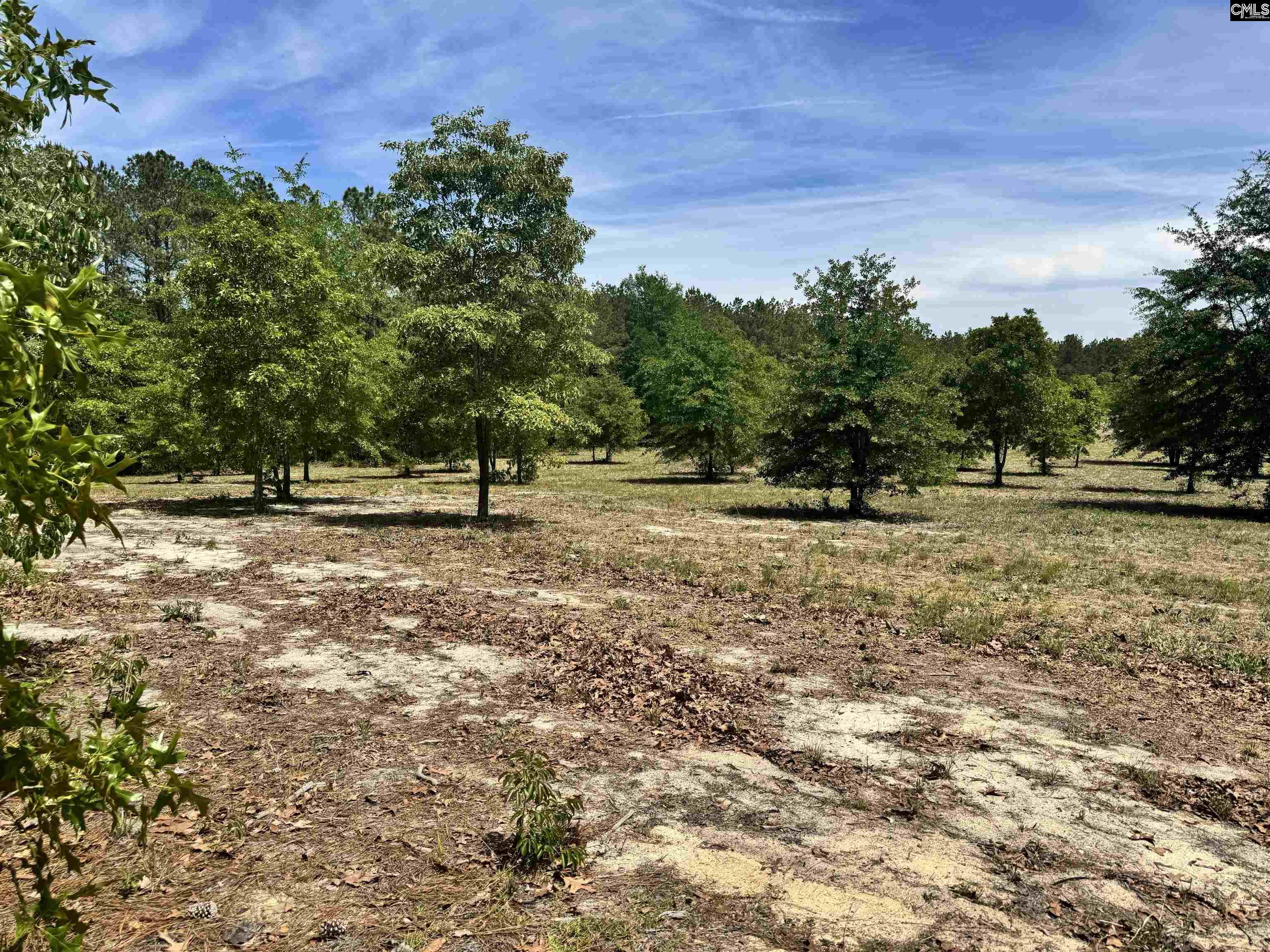 1345 Cheraw Road Cassatt SC 29032