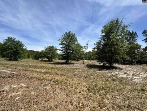 1345 Cheraw Road Cassatt SC 29032