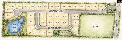 0 Cross Creek Drive Orangeburg SC 29115