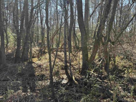 0 Bethany Road Saluda SC 29138