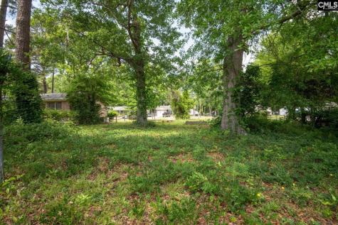 320 Creighton Drive West Columbia SC 29172