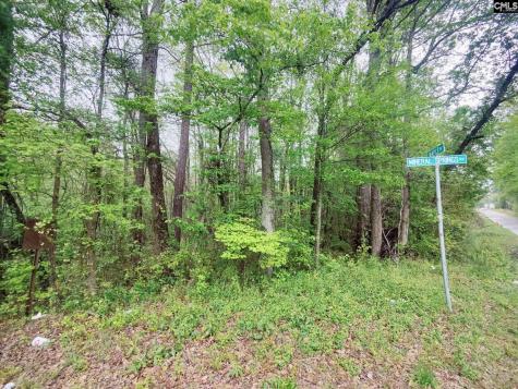 Mineral Springs Road Lexington SC 29073