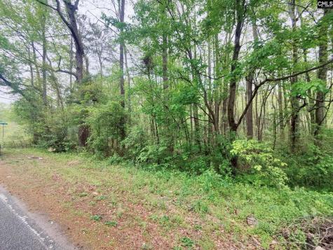 Mineral Springs Road Lexington SC 29073
