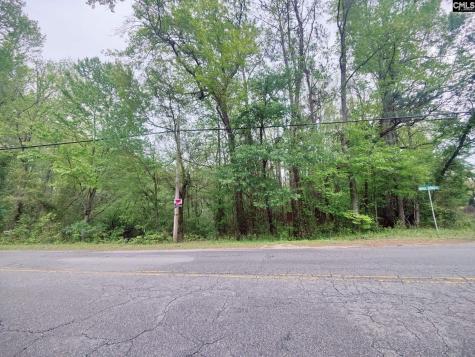 Mineral Springs Road Lexington SC 29073