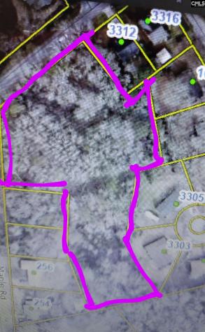 Mineral Springs Road Lexington SC 29073