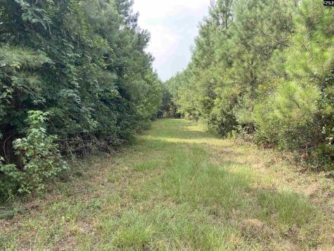91 Shiver Road Rembert SC 29128