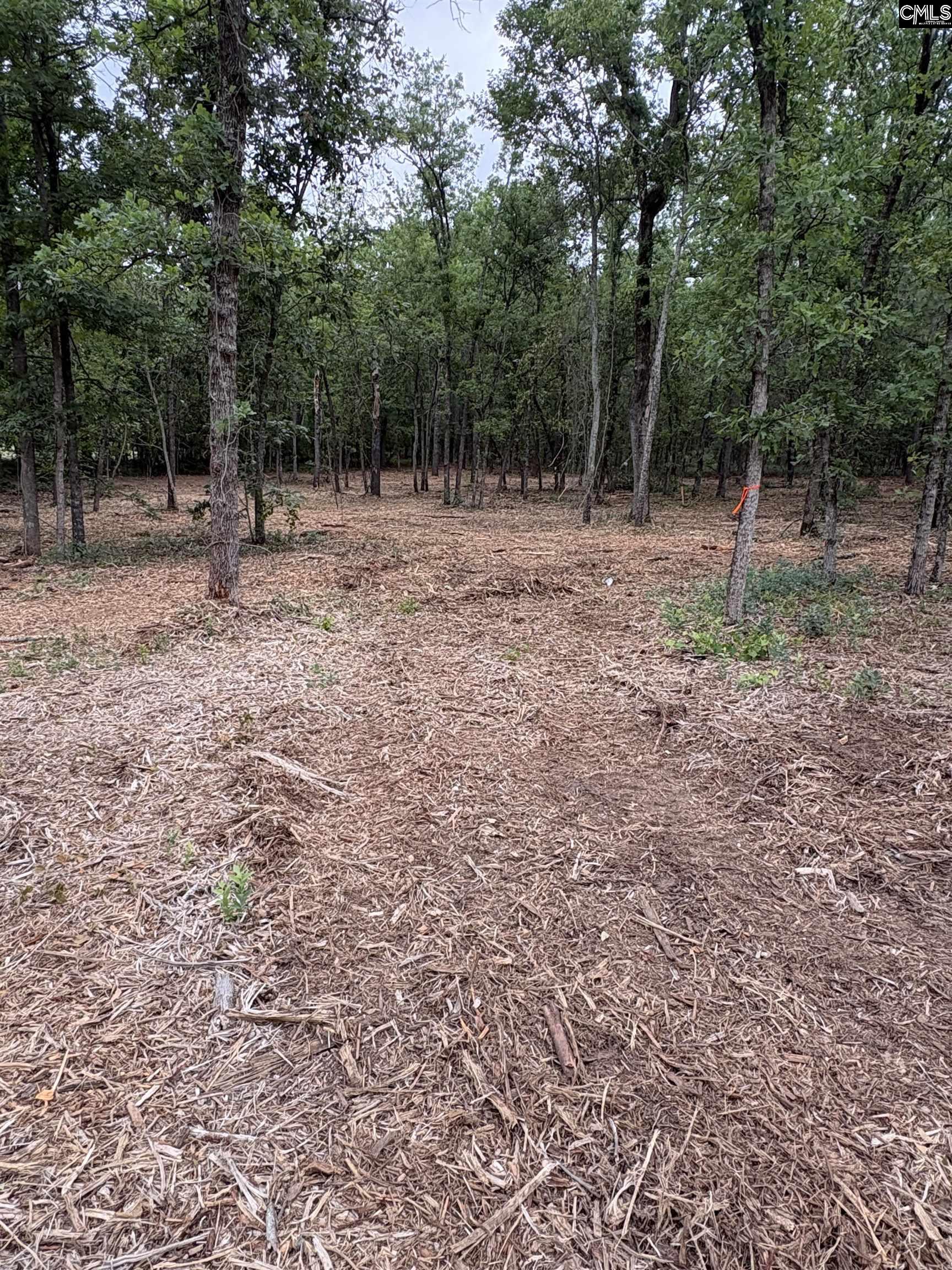 Lot 2 Quattlebaum Drive Leesville SC 29072