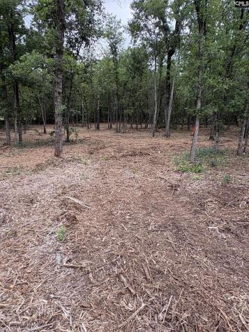 Lot 2 Quattlebaum Drive Leesville SC 29072