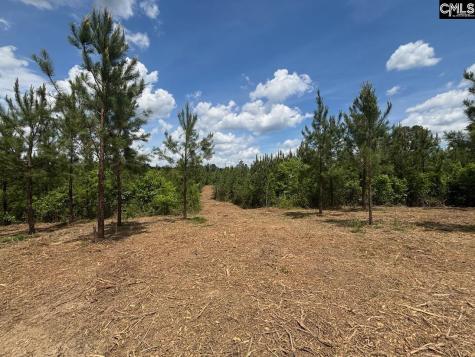 Scf 2 Long Cane Road Scf 2 Edgefield SC 29824