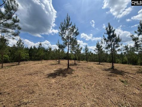 Scf 2 Long Cane Road Scf 2 Edgefield SC 29824