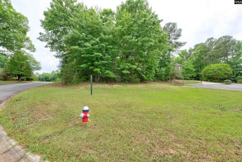 1 Aderley Court Irmo SC 29063