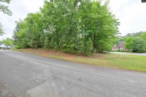 1 Aderley Court Irmo SC 29063